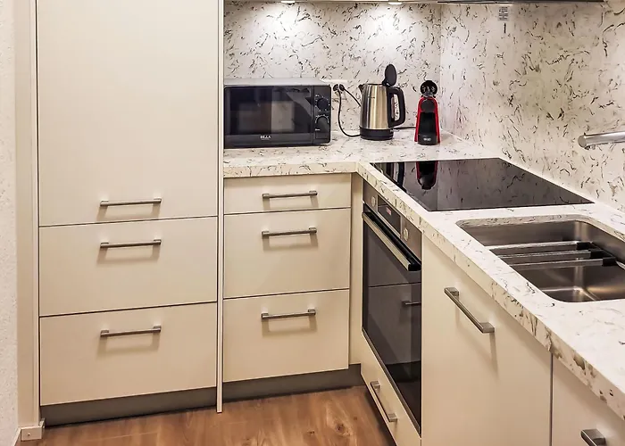 Apartament Ringstrasse 215 By Interhome