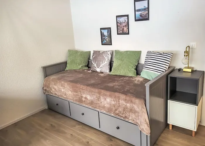 Apartament Ringstrasse 215 By Interhome *